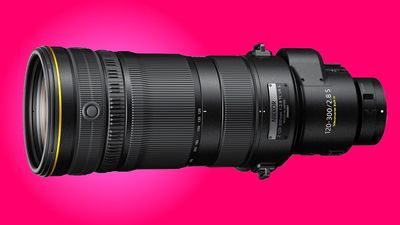 Nikon is developing a 120-300mm f/2.8 with a built-in teleconverter, and I can already see pro photographers queuing up for one!