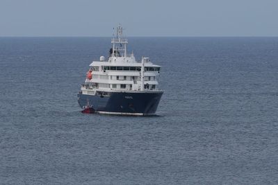 Authorities working to return Irish citizens from virus-hit cruise ship – Martin