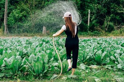 The Watering Myth: Why More Moisture Can Hurt Root Development
