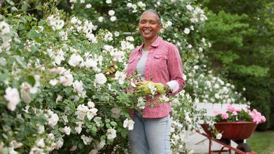 Tending to Your Estate Plan This Spring? Don't Forget to Give Your IRA Some Love