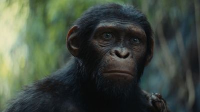 Planet of the Apes is getting a new movie, but studio head hints it might not be a total reboot