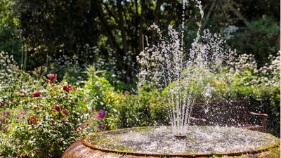 This DIY Solar Fountain Planter Will Turn Your Patio into a Miniature Oasis – And Wildlife Love It Too
