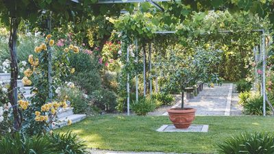 'A Backyard Game Changer' − This 5-Star Solar Wasp Trap Is the Key to Restoring Pleasant Evenings In Your Yard Without Buzzing Pests