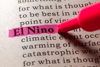 El Niño Concerns Push Cocoa Price Sharply Higher