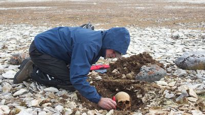 More doomed Franklin expedition sailors identified, revealing clues about how they tried to find safety
