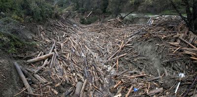 Cyclone Gabrielle exposed the risks of forestry slash. New research suggests little has changed