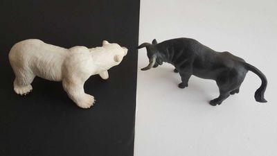 Palantir Stock: Bulls and Bears are Divided, But Its AI Growth Is Hard to Ignore
