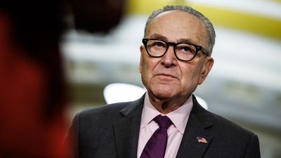 The Democratic civil war is just getting started for Chuck Schumer
