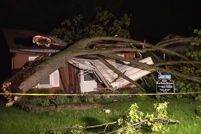 Tree crushes Michigan home just one day after sale was agreed: ‘I can’t believe how bad it was’