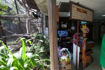 Couple arrested for stealing reptiles from Pata mall zoo