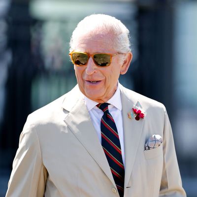 King Charles Used to Channel Eeyore, But Is Now "Equal to This Moment," Says Royal Biographer