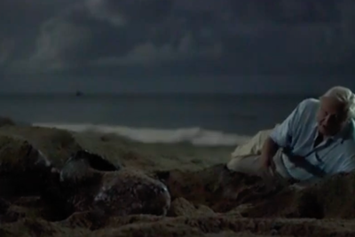 David Attenborough lies side by side with huge turtle in iconic encounter