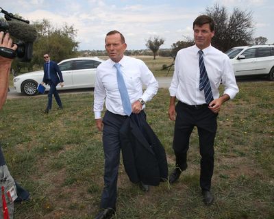 Angus Taylor has ‘rocks in his head’ if he backs Tony Abbott for federal Liberal presidency, insiders say