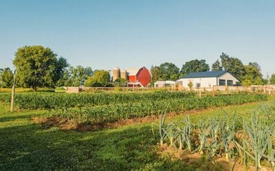 Living Near Farmland? Hidden Pesticide Mixtures Could Trigger Cancer Years Later