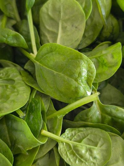 6 Frozen Foods Nutritionists Say Are Worth Buying in 2026