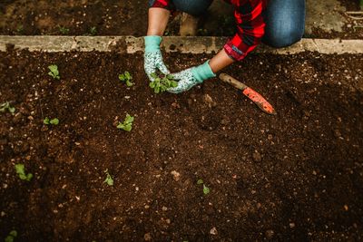 5 Affordable Soil Improvements That Make a Big Difference