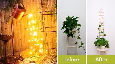 Weird Sh*t Under $25 That'll Make Your Home & Backyard So Much Cooler