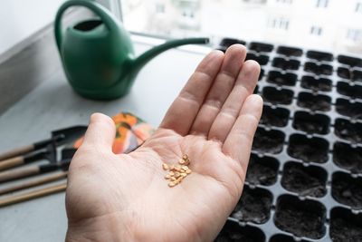Why Seeds Fail to Sprout Even in Ideal Conditions