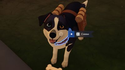 How to get a dog in Outbound