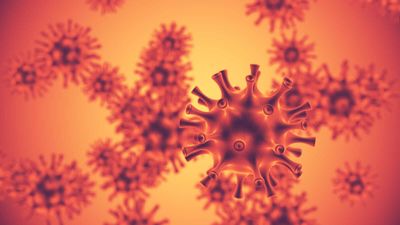 Moderna Stock Is Surging on Hantavirus Threats. Its Chart Offers a Harsh Dose of Reality.
