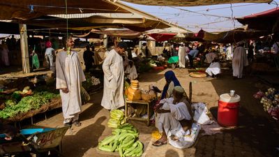 Sudan civil war enters 'deadlier' phase due to use of drones, says UN