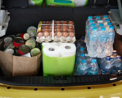 Worried Britons ‘prepping’ for major disruption with stash of tins and cash, survey shows
