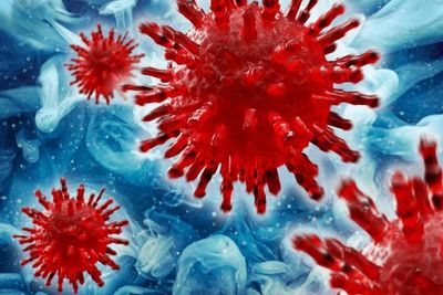 Hantavirus Travel Notice: The May 2 Cruise Advisory for Adults Over 60