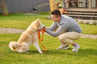 Smart Pets, Smarter Training: Hacks That Save Time