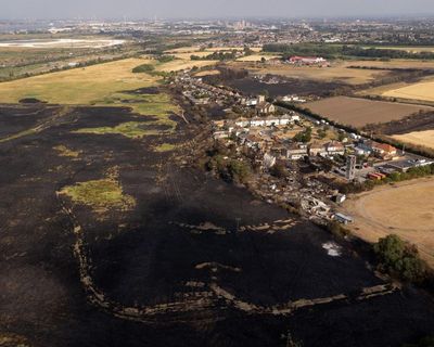 ‘It could have been a second Great Fire’: how east London blaze showed scale of UK wildfire threat