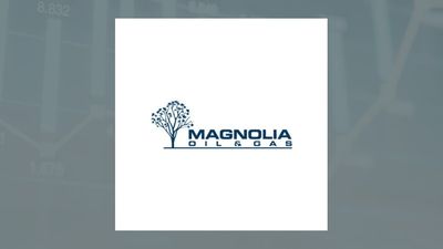 Magnolia Oil & Gas Q1 Earnings Call Highlights