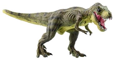 Why did ‘Tyrannosaurus rex’ have such short arms?