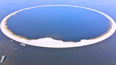 Protecting Life: Poland spent millions on an artificial island to protect rare birds and conserve wildlife