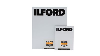 Ilford just gave large-format photographers the black-and-white film they have been begging for: Pan F Plus now comes in 4x5in and 8x10in sheets!