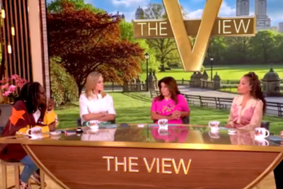 The View co-hosts roast ‘tone deaf’ Transportation Secretary Sean Duffy for filming new reality road trip series as travel costs soar