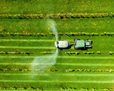 Oil-based products are everywhere, from fertiliser to fashion. What are the alternatives?