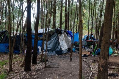 ‘A sobering indictment’: 14 homeless people die a year in public parks or countryside in Australia, analysis finds