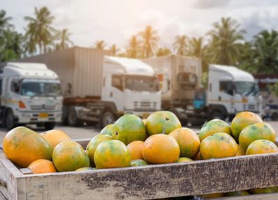 India must boost fruit, vegetable exports to increase farmers' income: Shivraj Singh Chouhan