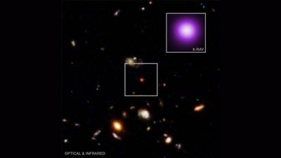 James Webb telescope zooms in on a black hole that could reveal the truth about 'little red dots'