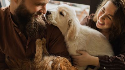 Are we more closely related to cats or dogs?