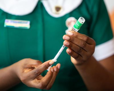 The Guardian view on the WHO pandemic treaty: the west’s fantasy negotiations have put the world at risk