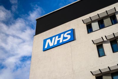 Palantir contractors working for NHS to receive ‘unlimited access’ to patient data