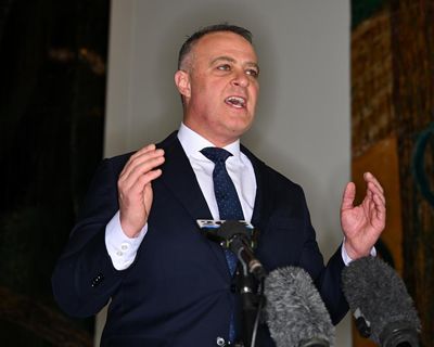 ‘Never, ever’: Tim Wilson walks back comments on potential One Nation rightwing alliance