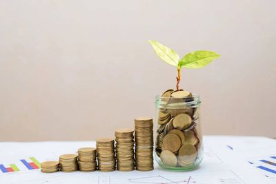 Best flexi cap mutual funds to invest in May 2026