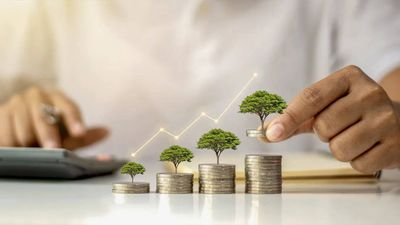 Best small cap mutual funds to invest in May 2026