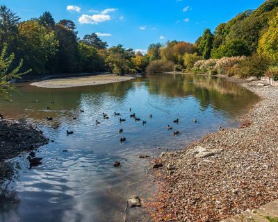 Drought fears in central and southern England as dry April leaves rivers low