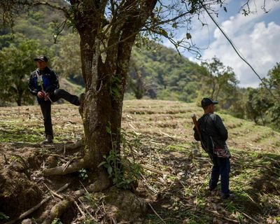 Drug gang attacks ‘force hundreds of Indigenous families to flee’ in Mexico