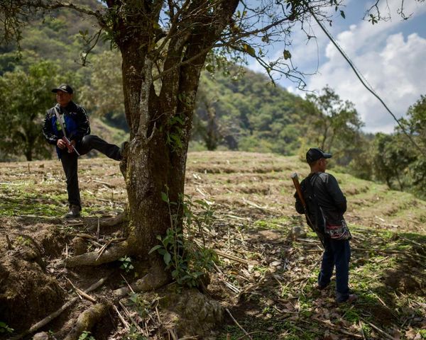 Drug gang attacks ‘force hundreds of Indigenous families to flee’ in Mexico