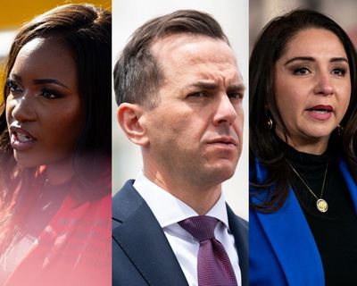 Democrats express ‘grave concerns’ over secretive ICE deportation flights