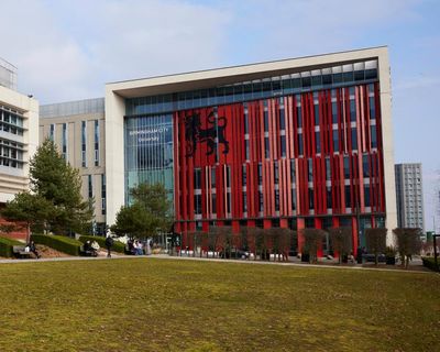 Birmingham City University urged not to axe Black studies MA
