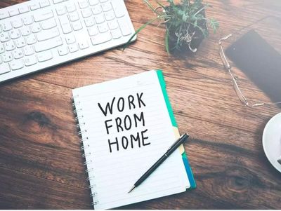 IT employees’ body seeks official work-from-home mandate for 5.8 million workforce after PM’s message
